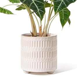 5 Inch Ceramic Planters...