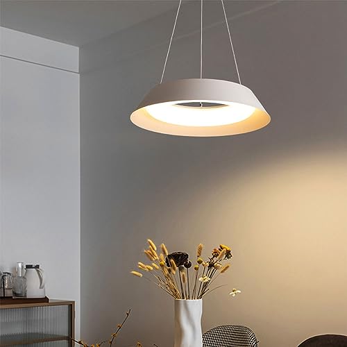 Lampe suspendue à LED blanche intensité variable pour éclairage de maison - 2