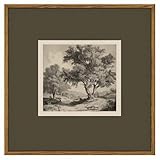 InSimSea Square Canvas Wall Art 12'x12' Premium Landscape Artwork Canvas Prints Vintage Rustic Tree Design, Perfect for Living Room, Bedroom, Office Decor