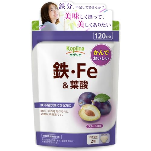 鉄・Fe&葉酸 240粒