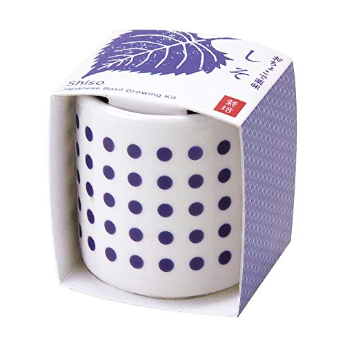 おちょこで薬味栽培 1 お酒好き最強のワクワクセット発見 U Meiga