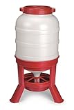 Little Giant® Plastic Dome Feeder | Heavy Duty Plastic...