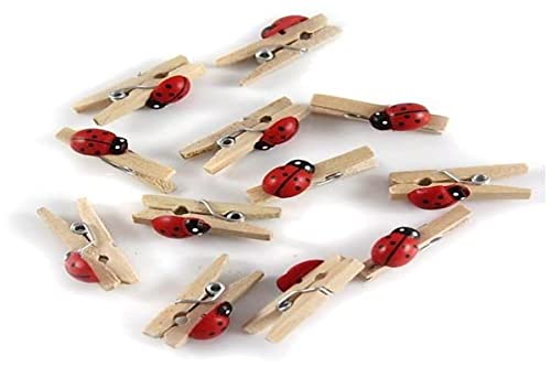 GLOREX Coccinella Mini molletta in legno, multicolore, 11 x 5,6 x 1 cm, 12 unità