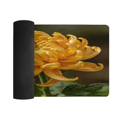 Alfombrilla de Escritorio Grande Impermeable VstaDank 30x60cm miniatura 3