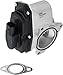 Delphi EG10743 Exhaust Gas Recirculation (EGR) Valve