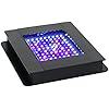 Fluval SEA Marine Nano LED Aquarium Lighting with Bluetooth, 20 Watts,Glass