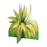 Beistle 30' x 30' Cardboard Three 3-D Hawaiian Theme Tropical Grass Luau Photo Prop, Jungle Party Décor, USA Made