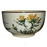 Botanica Dekor Anthyllis Vulneraria mit Wurzel - Echter Wundklee