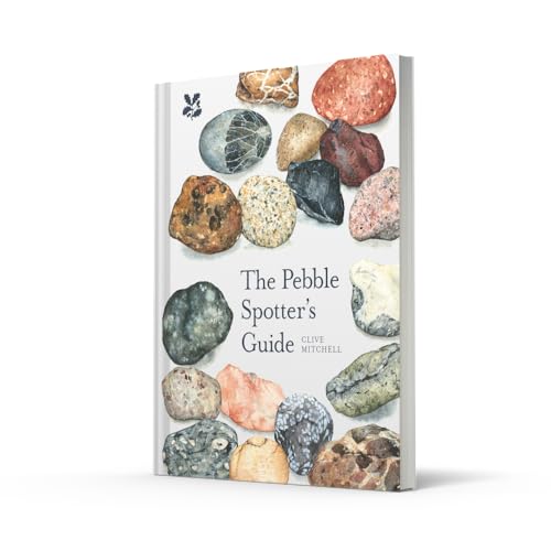 The Pebble Spotter's Guide – vue 2