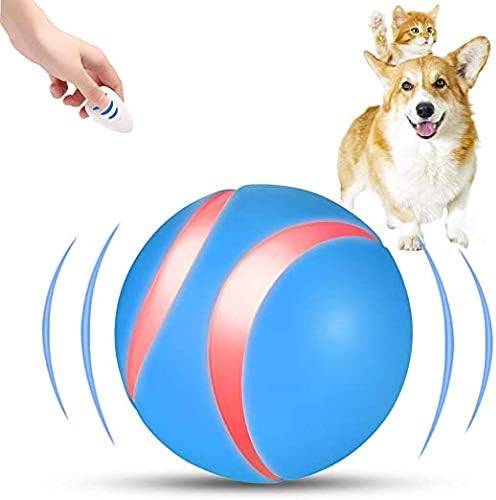 remote dog ball