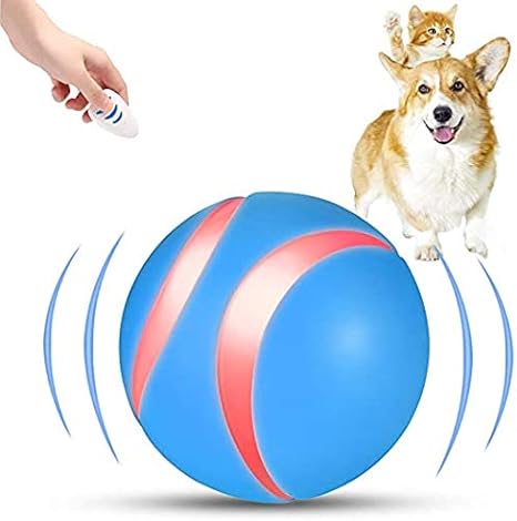 remote control ball dog toy