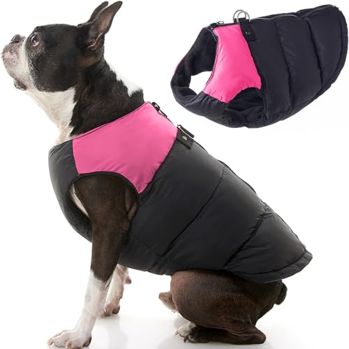 Best Dog Coats With BuiltIn Harness Holes [2024 Reviews]