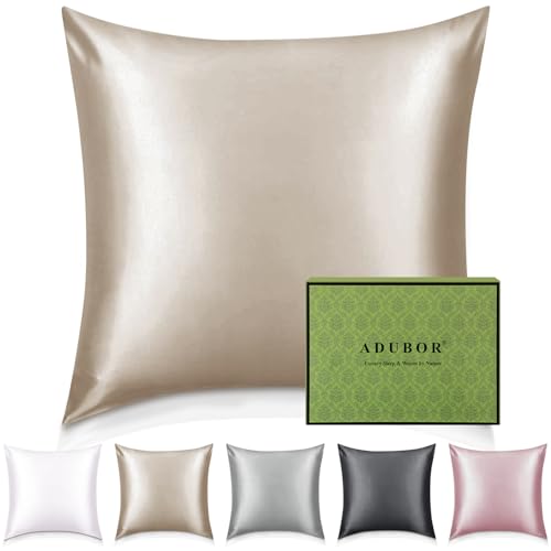 Adubor Taie Oreiller 100% Soie, 22 Momme Soie de Mûrier, Grade 6A, Taie d'oreiller Soie pour la Santé des Cheveux et de la Peau, avec Fermeture Éclair Dissimulée (60×60cm, Beige, 1 pièce)