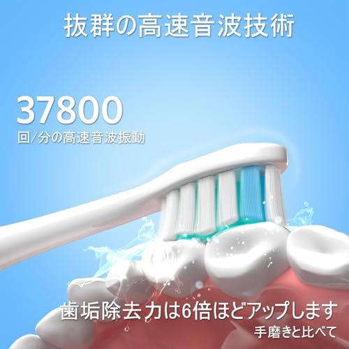 BESTEK 電動歯ブラシ ソニック 超音波歯ブラシ の商品画像 2
