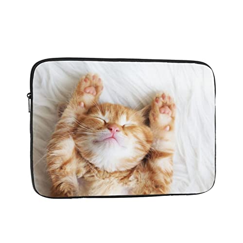 m[gp\RP[X L H ʐ^ Q  L[g PCCi[obO bvgbv Jo360°ی ϏՌ [ ^ 킢 13 / 15 / 17 C` bvgbvX[u ʋ ʊw  t