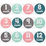 BAZEITFLOW 新生児用成長記録ステッカー 1セット 粘着式月齢数字付き ベビーフォト小道具 誕生日記念撮影用 赤ちゃんの成長記録向け