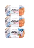 Premier Yarns Colorfusion Chunky Yarn - 3.5 Oz - #5 Bulky Weight - 3-Pack Bundle with Bella's Crafts Stitch Markers (Wildflower)