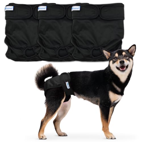 Paw Inspired Pañales lavables para perros (paquete de 3) | Pañales de tela reutilizables para perras pequeñas, medianas y grandes (negro con forro negro, talla M)
