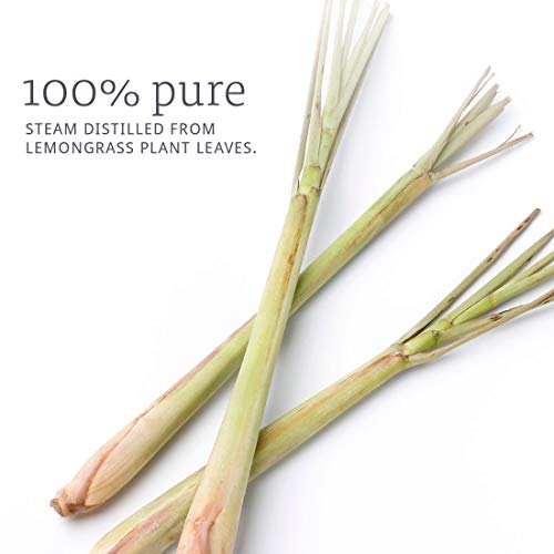Aceite de Lemongrass NOW Essential Oils 1 oz miniatura 3