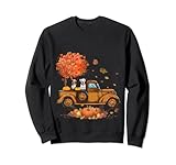 Photo Gallery boxer zucche camion autunno foglia caduta regali di ringraziamento felpa Photo Gallery boxer zucche camion autunno foglia caduta regali di ringraziamento felpa