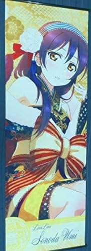 Amazon Co Jp ラブライブ 等身大bigタペストリー ビッグタペストリー タペストリー 園田海未 スクフェス 晴れ着編ver ホビー 通販