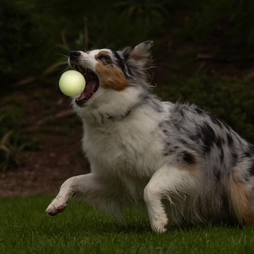 Image of Chuckit! Ultra Ball Dog Fetch Toy, Large 3in, Day and Night 2 Pack, Floats