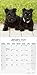 Scottish Terrier Calendar - Dog Breed Calendars - 2023 - 2024 wall calendars - 16 Month by Avonside