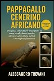 pappagalli cenerini costo  PAPPAGALLO CENERINO AFRICANO: Una guida completa per principianti su come prendersi cura, nutrire, allevare, toelettatura, habitat, salute e strategie