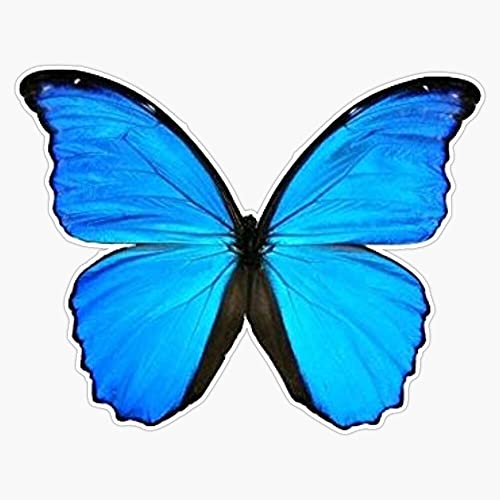 Generic Blue Butterfly Magnet Bumper Sticker Car Magnet Flexible Reuseable Magnetic Vinyl 5