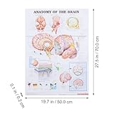 Zoom IMG-2 hoodancos poster anatomico umano 50x70