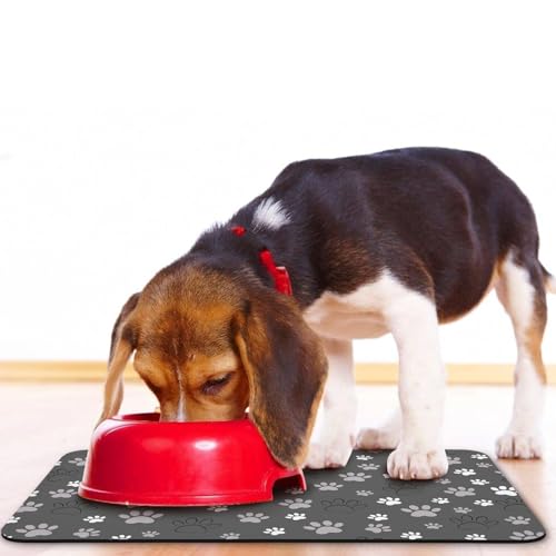 Tapis de nourriture pour chien absorbant et imperméable gris