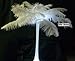 Ostrich Deluxe Formal Snow White Feather Plume 18-24"Long-10 Pcs.- to Decorate Eiffel Tower Vase