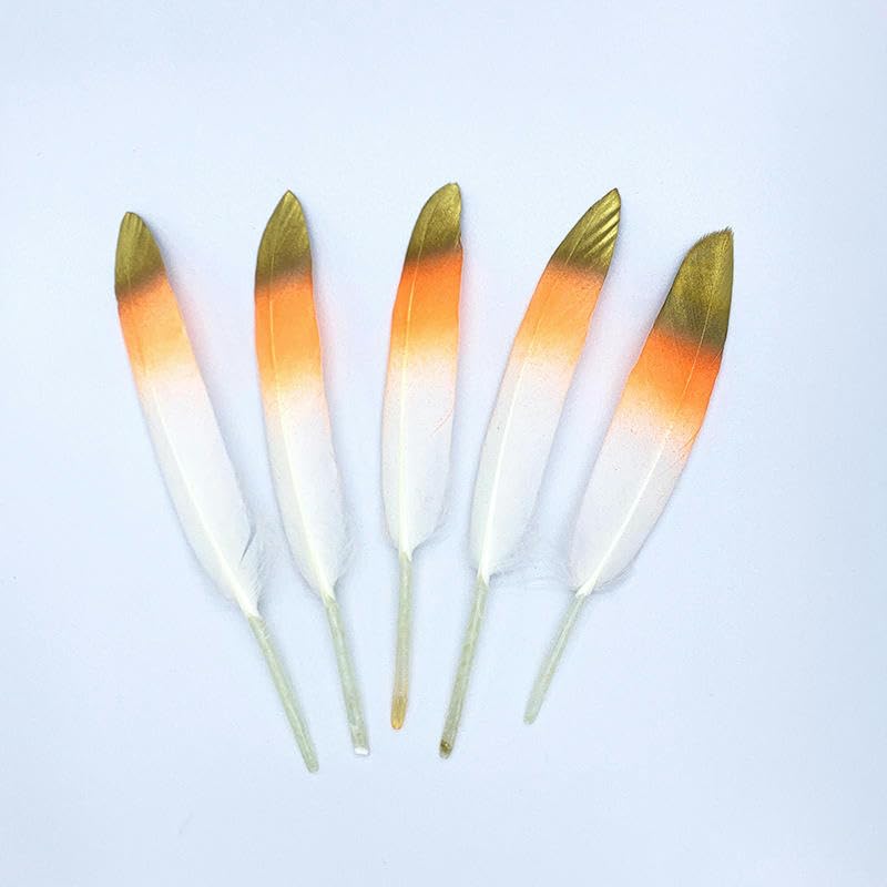 Plumes décoration colorées et dorées pour vos centres de table et fêtes