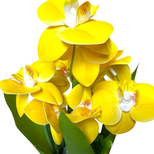 Image of Garden Art Pack of 1 Artificial Phalaenopsis Orchid Bonsai Bunch, 6 Heads, 9 Flowers, 31 cm GAAPHOB-6H-31Y (Yellow)