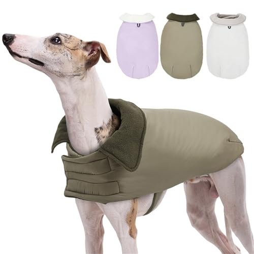 Chien à fourrure pour éviter les frissons pull col roulé sable printemps doux