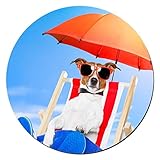 deckchair auflage taupe Funktioniert mit jeder Art von Maus: optisch oder Trackball.