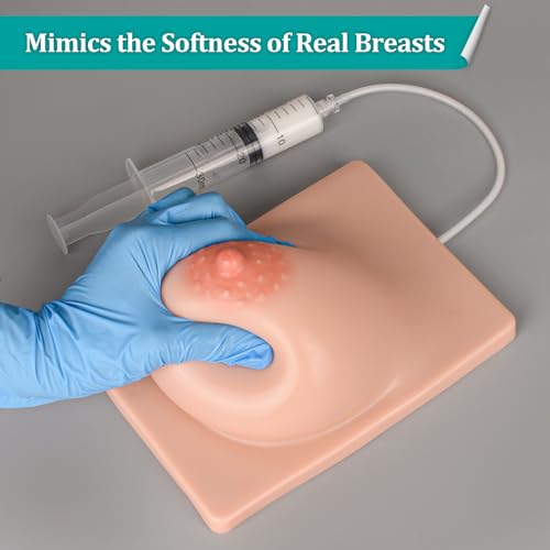 Image of Lactation Breast Model for Breastfeeding Massage Education, Artificial Breastfeeding Educational Tool for Lactation Consultant, Right