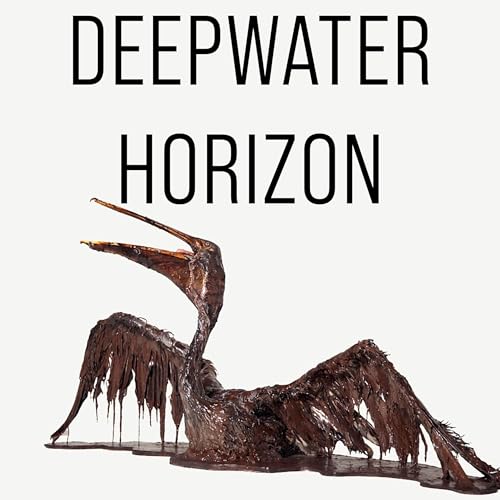 Deepwater horizon - den st&ouml;rsta oljekatastrofen i m&auml;nsklighetens historia
