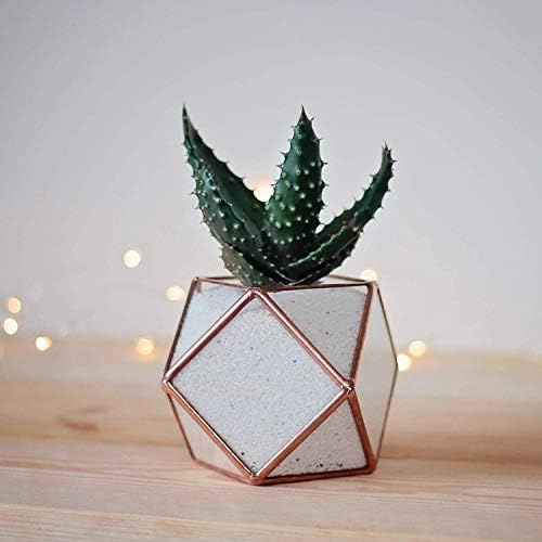 Waen Terrarium/Planter Collection Stained Glass Geometric Planter (Copper, Silver, Black)