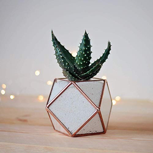 Waen Terrarium/Planter Collection Stained Glass Geometric Planter (Copper, Silver, Black) #TOP3