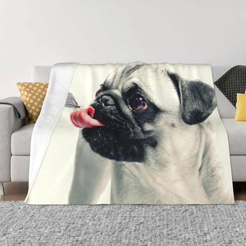 pO  o^tC uPbgtl _炩G 􂦂 \t@uPbg ԗp lGKp