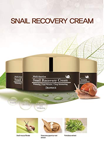 Deoproce Snail Recovery Cream Snail Mucus Effect, Korean Skin Care, Multi functional Cream, Anti wrinkle, Deep moisturizing (Snail Recovery Cream)