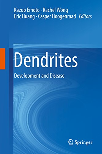 Dendrites: Development and Disease