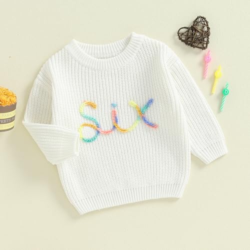 Toddler Kids Girls Boys Sweater 2 3 4 5 6 Birthday Clothes Letter Embroidery Long Sleeve Toddler Pullovers Fall Tops3