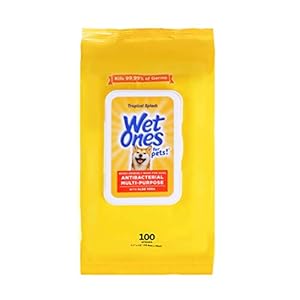 Wet Ones for Pets Multipurpose Dog Wipes with Aloe Vera, Tropical Splash Scent – Pet Bathing Wipes with Wet Lock Seal for Dog Paws & All Over Use, 100 Count