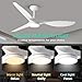 Roomratv Ceiling Fans with Lights,Large Airflow 52inch Modern Ceiling Fan with Quite Reversible DC Motor 3 Color Temperature LED Light (White)