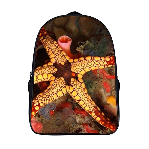Cartable de mode Beach Starfish pour enfants sac à dos décontracté de 40x28x16cm