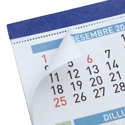 Finocam - Faldilla Calendar 2023 Large Numbers January 2023 - December 2023 (12 months) Catalan, multicoloured, F92 - 210x150 mm - Image 3
