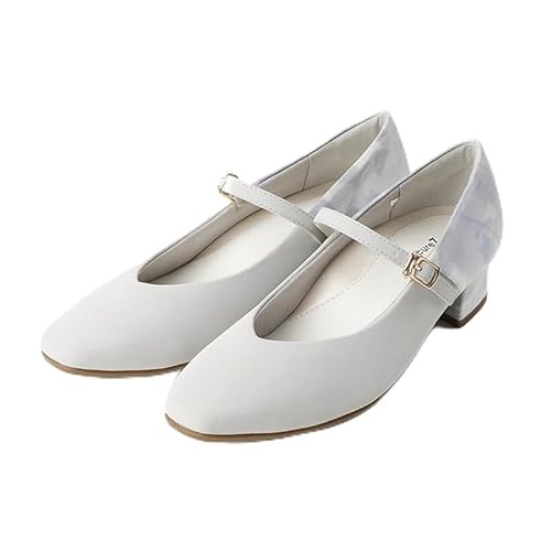 [ALA[Y] AVbNX dwɂ₳pvX AO-10243-BUF-24.5