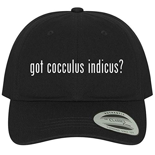 The Town Butler got cocculus Indicus? - A Comfortable Adjustable Dad Baseball Hat, Black, One Size